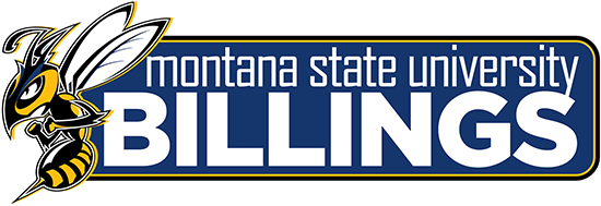 MSM Group - Montana State University - Billings ,USA