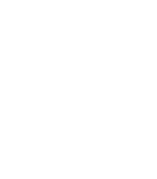 MSM Group - Hanover college Logo
