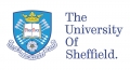 Study Group - The University of Sheffield international College Logo